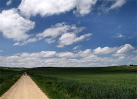 Cammino di Santiago